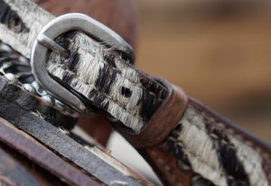 Horse Tack
